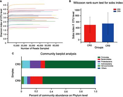 Gut microbiota and metabolites exhibit different profiles after very-low-caloric restriction in patients with type 2 diabetes